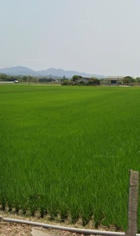 白河農地法拍-12