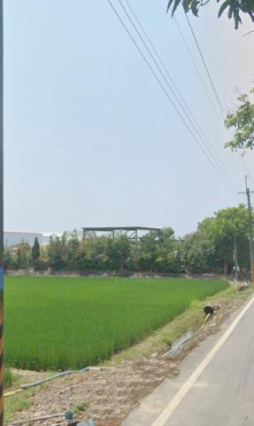 白河農地法拍-14