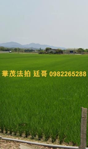 白河農地法拍-3