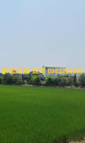 白河農地法拍-4