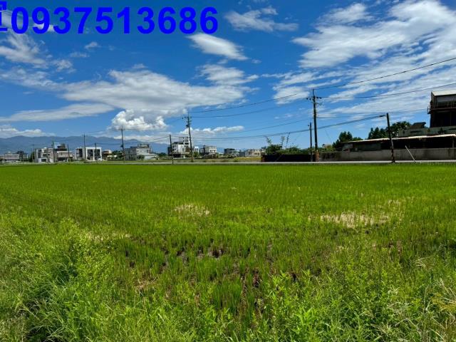 宜蘭壯圍農地-3