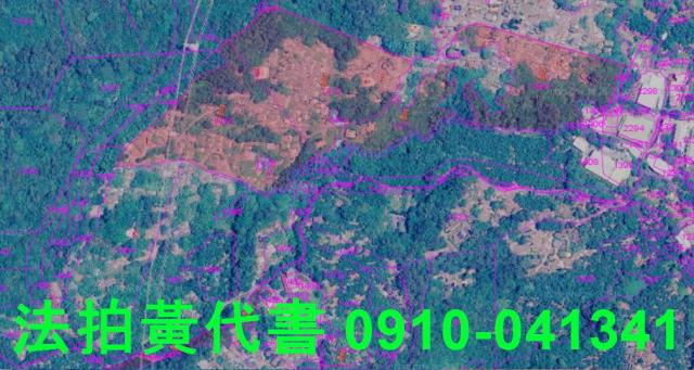 新北八里休閒地法拍-3
