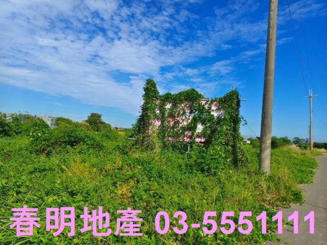 新竹新豐農地-1