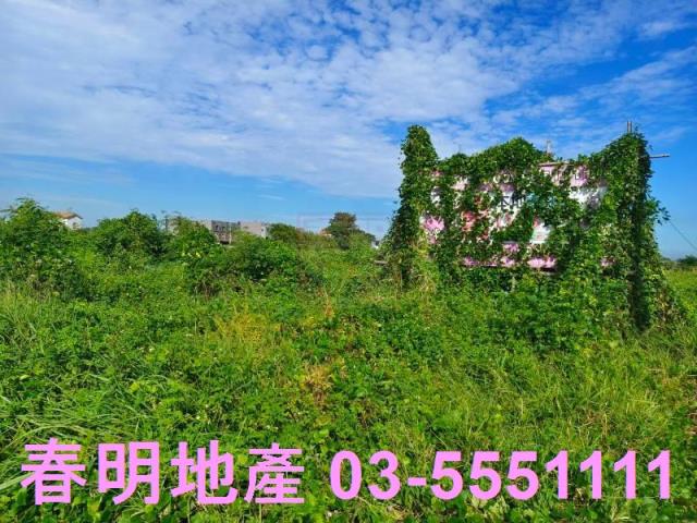 新竹新豐農地-2