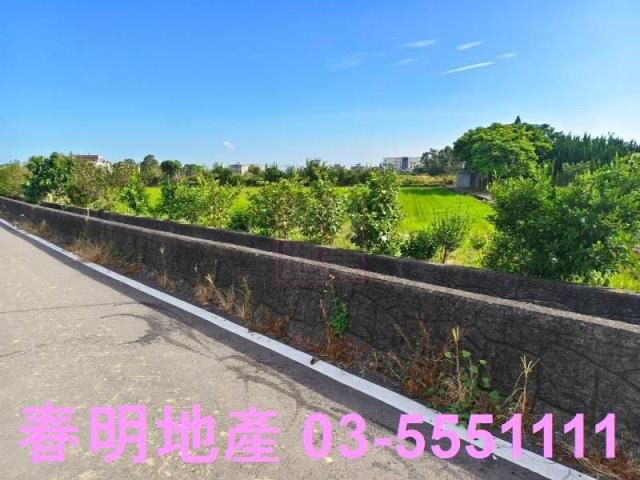 新竹新豐農地-3