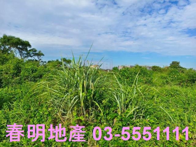 新竹新豐農地-5