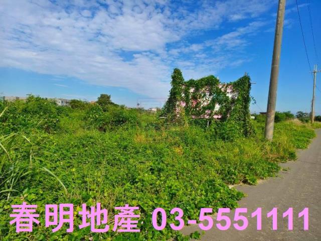 新竹新豐農地-6