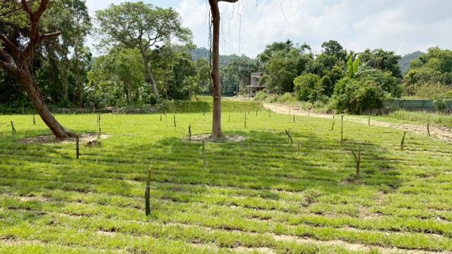 新竹關西農地-13