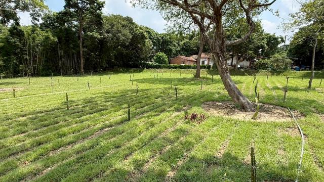 新竹關西農地-14