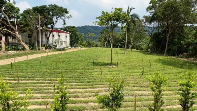 新竹關西農地-2