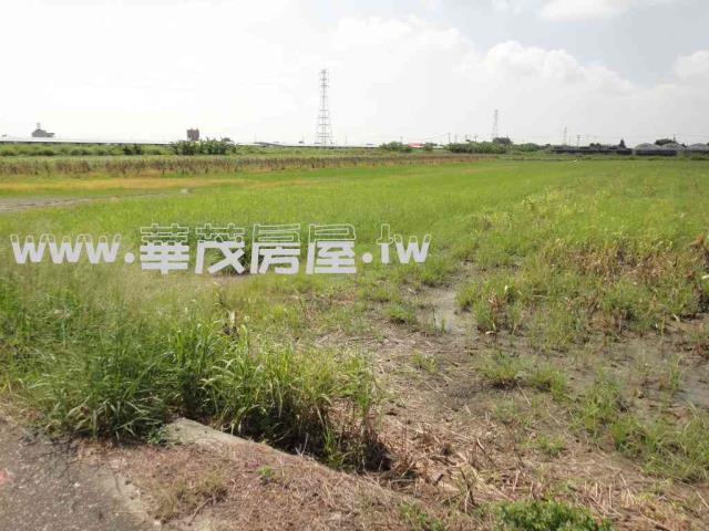 台南學甲農地法拍-4