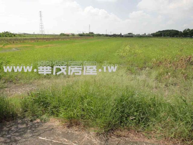 台南學甲農地法拍-5