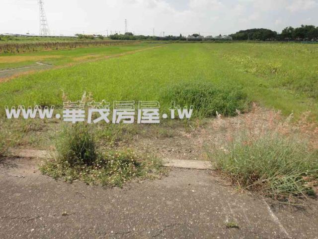 台南學甲農地法拍-6