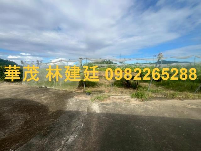 玉井法拍農地-3