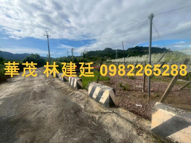 玉井法拍農地-4