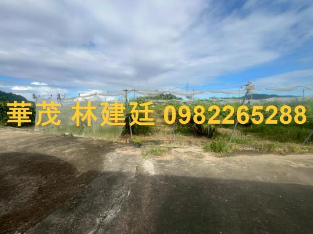 玉井農地法拍-3