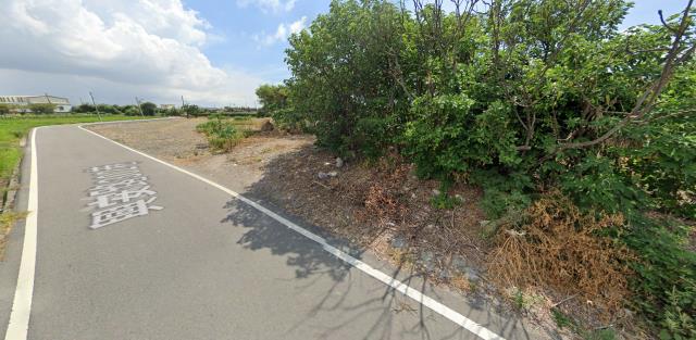 大安區農地法拍-4