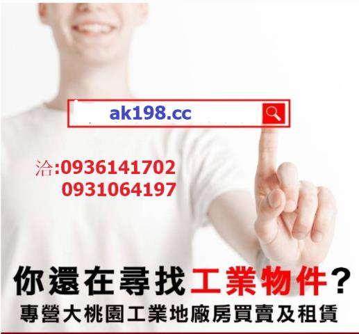 苗栗苑裡工業地-4