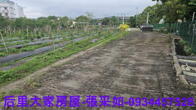 台中后里農地-1
