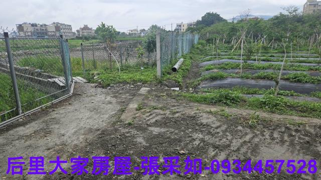 台中后里農地-3
