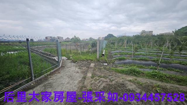 台中后里農地-4