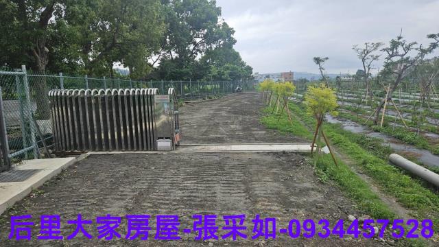 台中后里農地-6