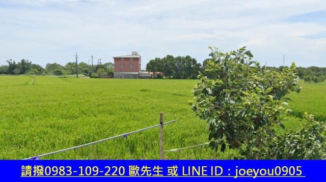 中壢法拍農地-12