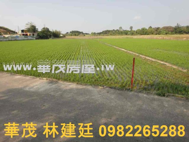 關廟農地法拍-5