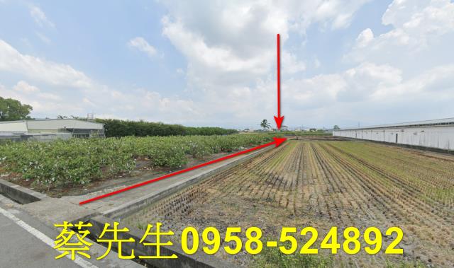 彰化法拍農地-13