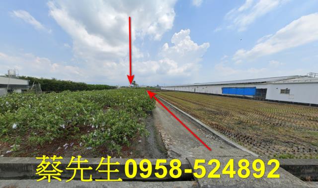 彰化法拍農地-6