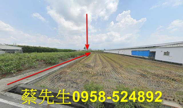 彰化法拍農地-9