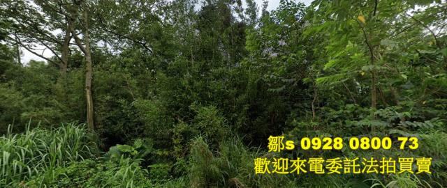 桃園龍潭法拍農地-9