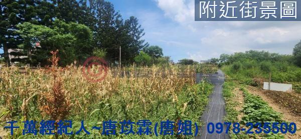 新竹湖口農地-8