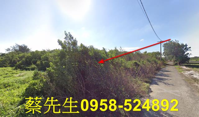 四湖農地法拍-12