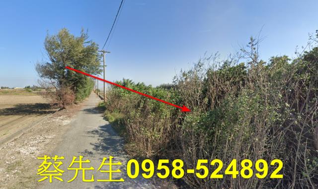 四湖農地法拍-14