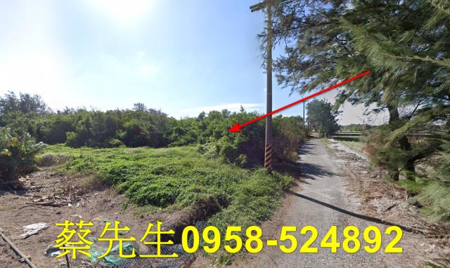 四湖農地法拍-5
