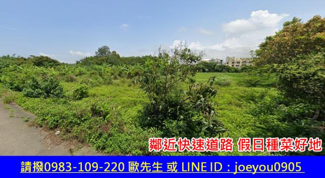 通霄農地法拍-3