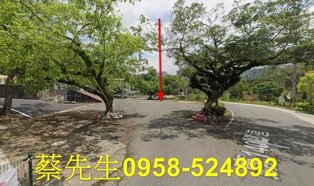 嘉義中埔法拍建地-15