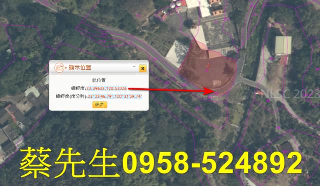 嘉義中埔法拍建地-3
