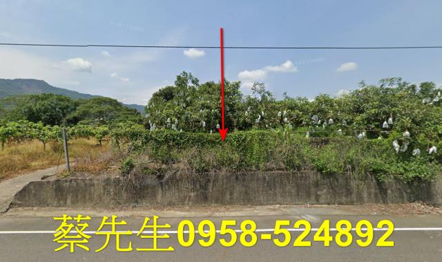 台南南化農地法拍-1