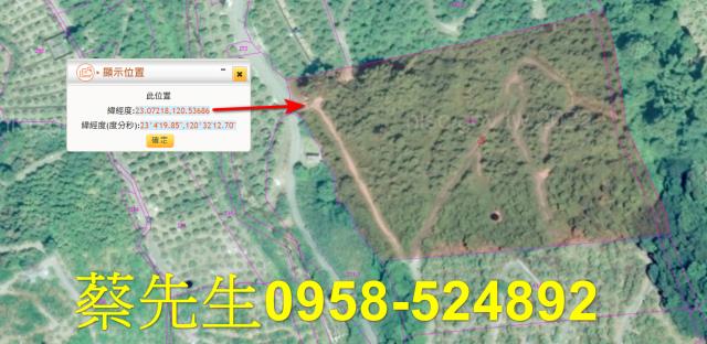 台南南化拍賣農地-11