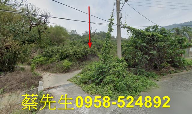 台南南化拍賣農地-9