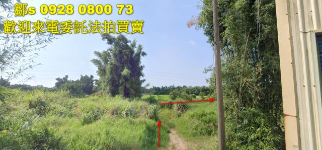 桃園建地法拍-10