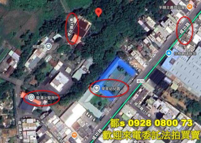 桃園建地法拍-6