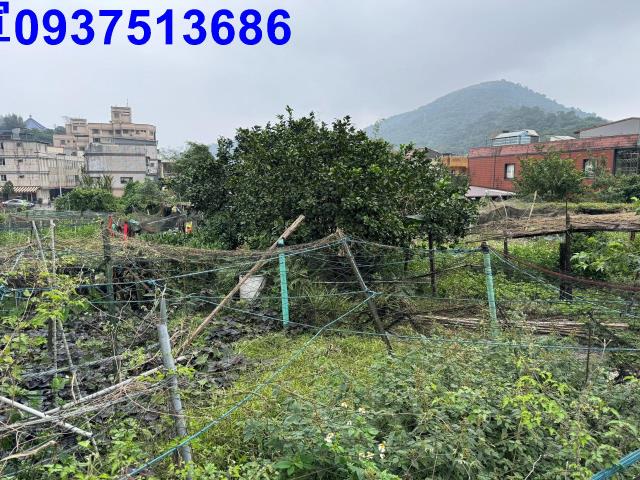 蘇澳農地-2
