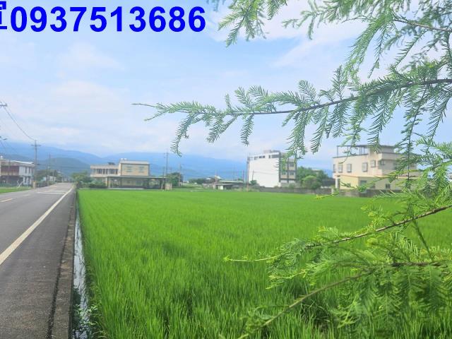 宜蘭農地-10