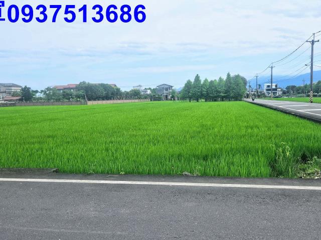 宜蘭農地-4