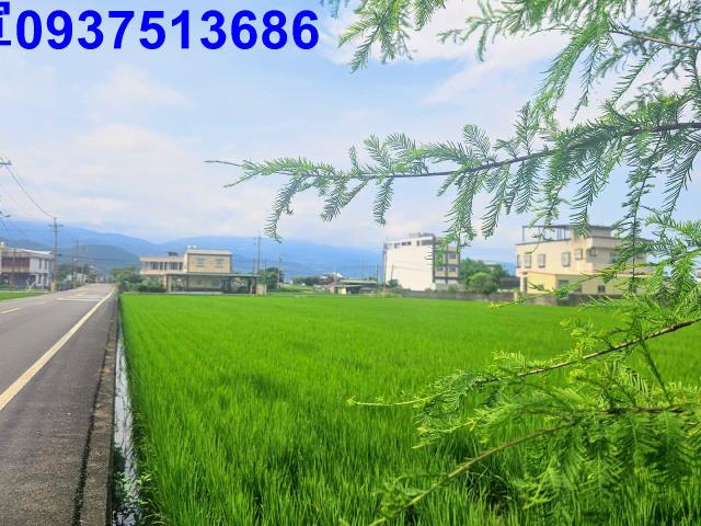 宜蘭農地-5