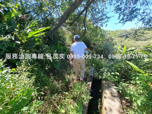 新北石門農地-12