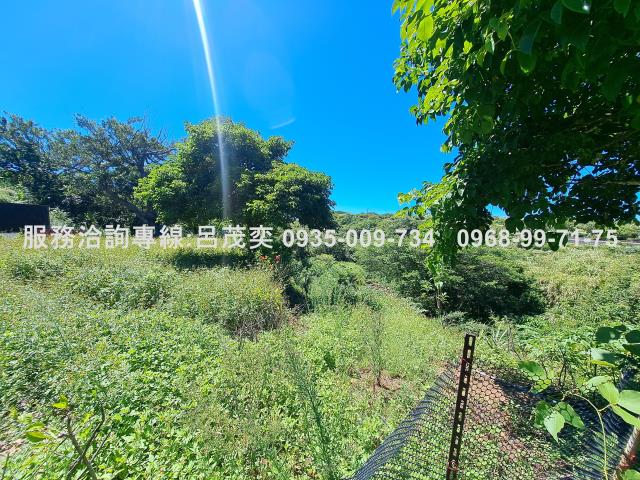 新北石門農地-5